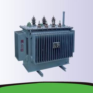 11kV Oil Immersed Distribution Transformer S11
