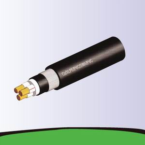 XLPE Insulated Power Cable 0.6/1kV/11kV/33kV